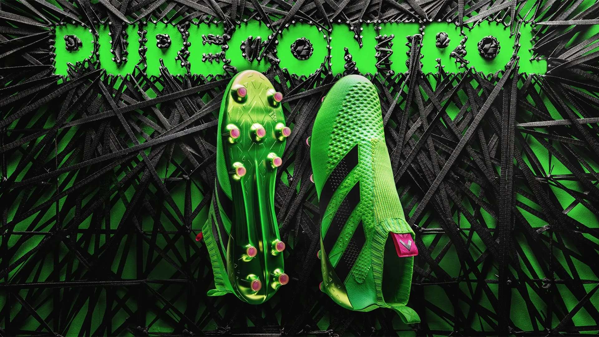 来自日本的 来自日本的